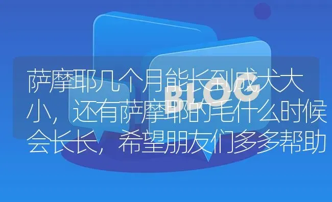 萨摩耶几个月能长到成犬大小，还有萨摩耶的毛什么时候会长长，希望朋友们多多帮助？ | 动物养殖问答