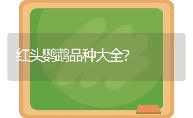 红头鹦鹉品种大全？ | 动物养殖问答