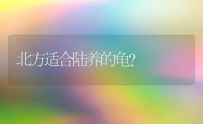 北方适合陆养的龟？ | 动物养殖问答