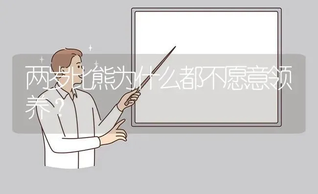 两岁比熊为什么都不愿意领养？ | 动物养殖问答