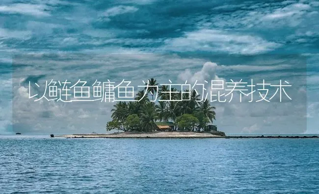 以鲢鱼鳙鱼为主的混养技术 | 海水养殖技术