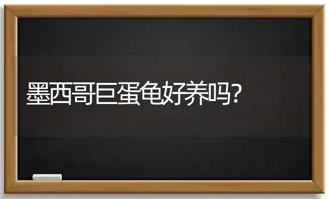 地图龟可以深水吗？ | 动物养殖问答