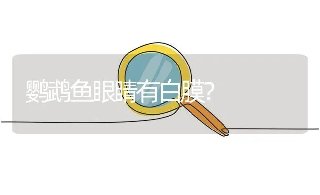 鹦鹉鱼眼睛有白膜？ | 鱼类宠物饲养