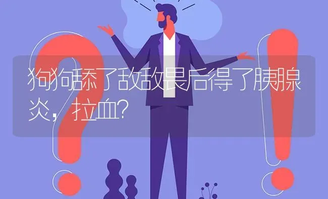 狗狗舔了敌敌畏后得了胰腺炎，拉血？ | 动物养殖问答