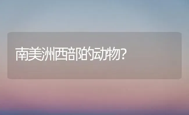 四个月布偶猫标准体重？ | 动物养殖问答