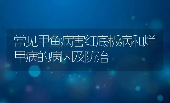 常见甲鱼病害红底板病和烂甲病的病因及防治 | 水产养殖知识