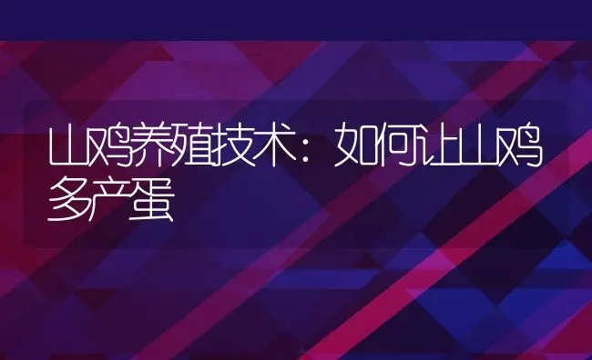 山鸡养殖技术：如何让山鸡多产蛋 | 动物养殖百科