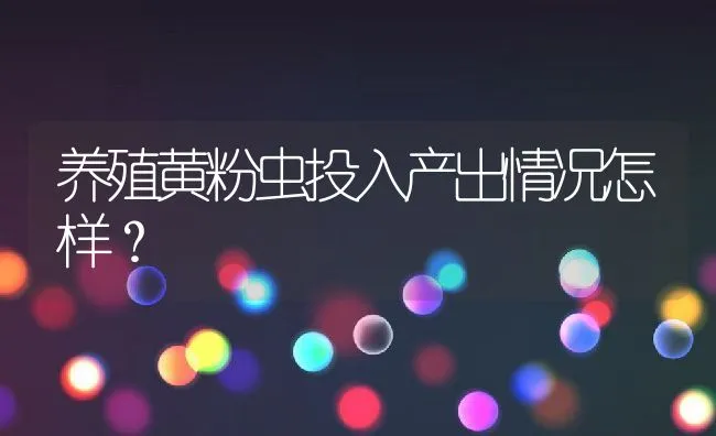 养殖黄粉虫投入产出情况怎样？ | 动物养殖饲料