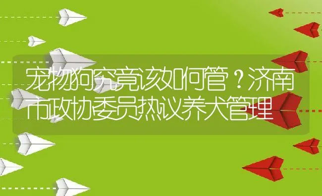 宠物狗究竟该如何管？济南市政协委员热议养犬管理 | 动物养殖学堂