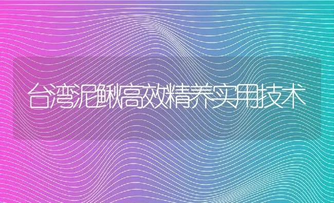 台湾泥鳅高效精养实用技术 | 动物养殖百科