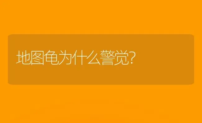地图龟为什么警觉？ | 动物养殖问答