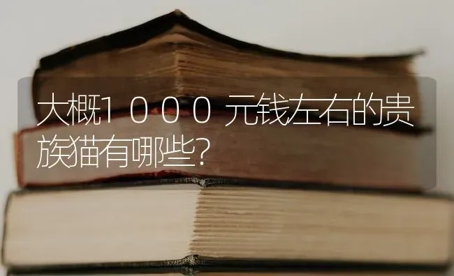 大概1000元钱左右的贵族猫有哪些？ | 动物养殖问答