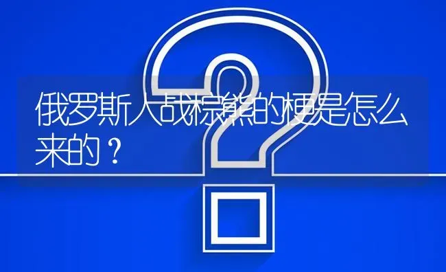 俄罗斯人战棕熊的梗是怎么来的？ | 动物养殖问答