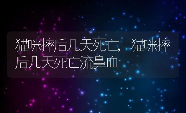 猫咪摔后几天死亡,猫咪摔后几天死亡流鼻血 | 宠物百科知识