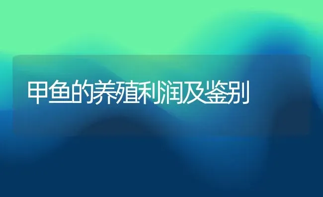 甲鱼的养殖利润及鉴别 | 动物养殖百科