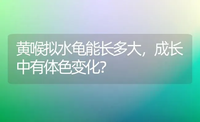 黄喉拟水龟能长多大，成长中有体色变化？ | 动物养殖问答