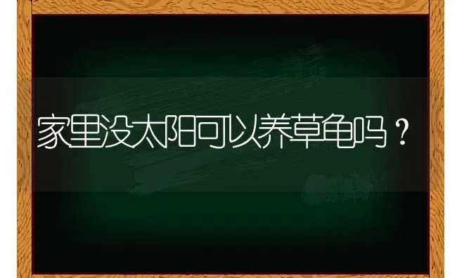 家里没太阳可以养草龟吗？ | 动物养殖问答