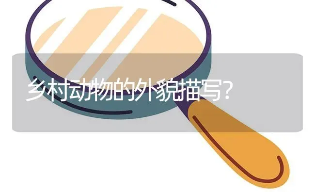 乡村动物的外貌描写？ | 鱼类宠物饲养