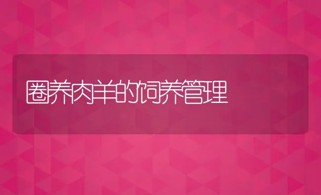 圈养肉羊的饲养管理 | 动物养殖饲料