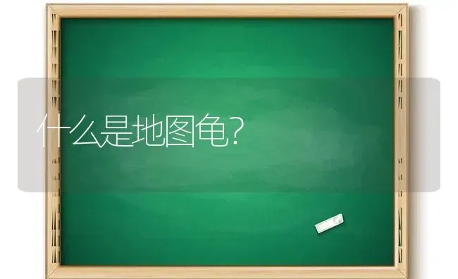 什么是地图龟？ | 动物养殖问答