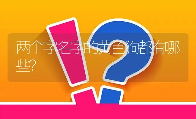 两个字名字的黄色狗都有哪些？ | 动物养殖问答