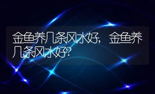 金鱼养几条风水好,金鱼养几条风水好? | 宠物百科知识