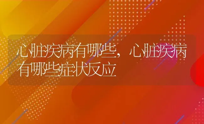 心脏疾病有哪些,心脏疾病有哪些症状反应 | 宠物百科知识