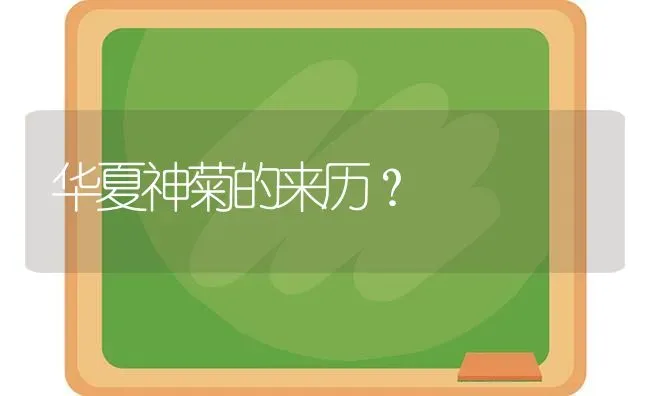 华夏神菊的来历？ | 动物养殖问答