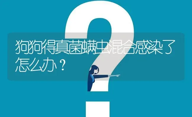 狗狗得真菌螨虫混合感染了怎么办？ | 动物养殖问答