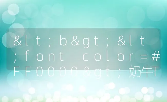 <b><font color=#FF0000>奶牛TMR全混日粮饲料的优点</font></b> | 动物养殖学堂