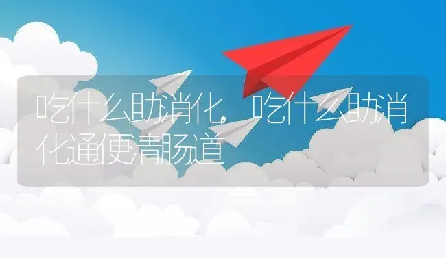 吃什么助消化,吃什么助消化通便清肠道 | 宠物百科知识