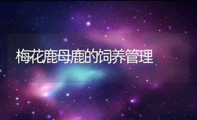 浙江省湖州市加强养殖克氏螯虾病害防治 | 海水养殖技术