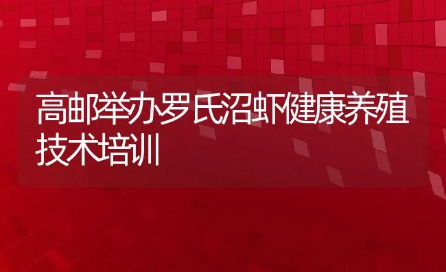 高邮举办罗氏沼虾健康养殖技术培训 | 动物养殖饲料