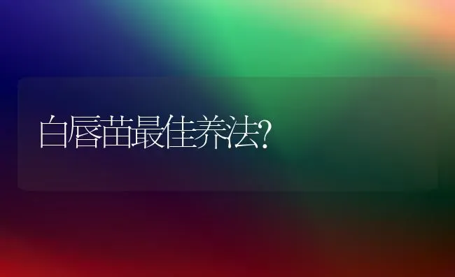 公猫多大不能绝育？ | 动物养殖问答