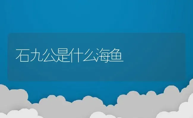 石九公是什么海鱼 | 动物养殖百科