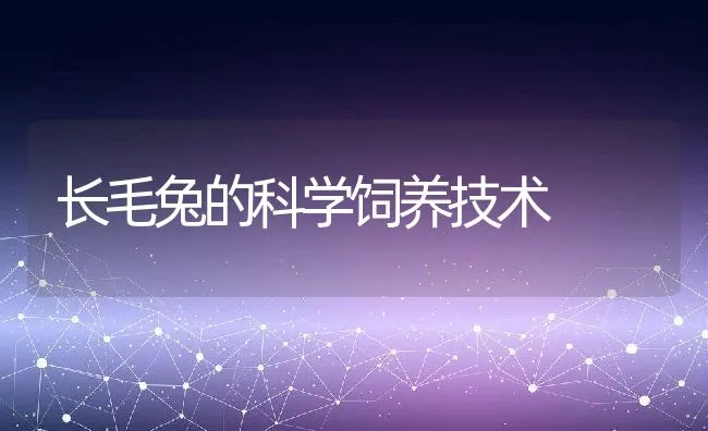 长毛兔的科学饲养技术 | 水产养殖知识