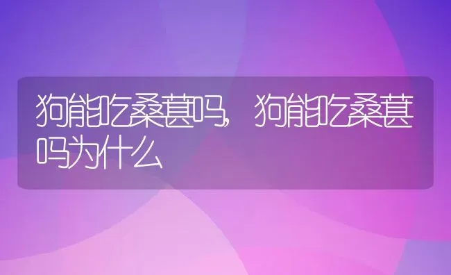 狗能吃桑葚吗,狗能吃桑葚吗为什么 | 宠物百科知识