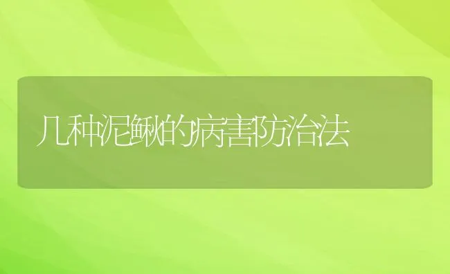 几种泥鳅的病害防治法 | 水产养殖知识