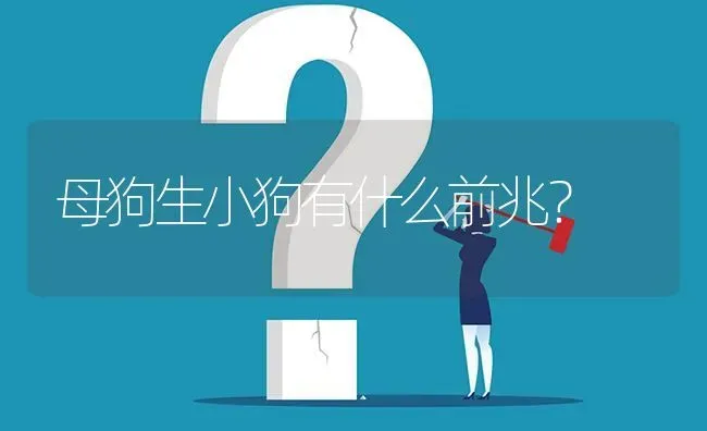 母狗生小狗有什么前兆？ | 动物养殖问答