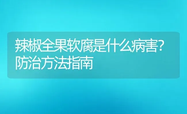 辣椒全果软腐是什么病害？防治方法指南 | 动物养殖教程