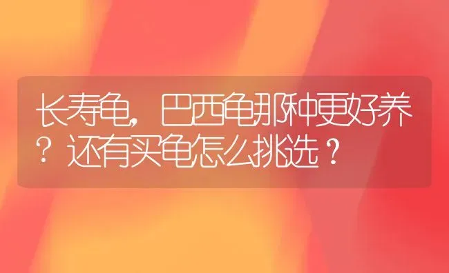 长寿龟，巴西龟那种更好养?还有买龟怎么挑选？ | 动物养殖问答