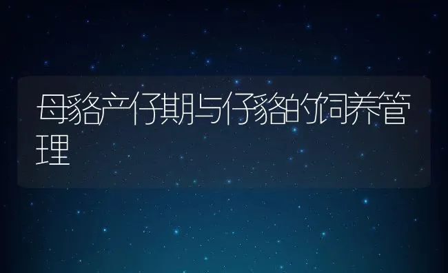 母貉产仔期与仔貉的饲养管理 | 水产养殖知识