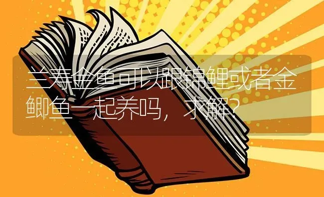 兰寿金鱼可以跟锦鲤或者金鲫鱼一起养吗，求解？ | 鱼类宠物饲养