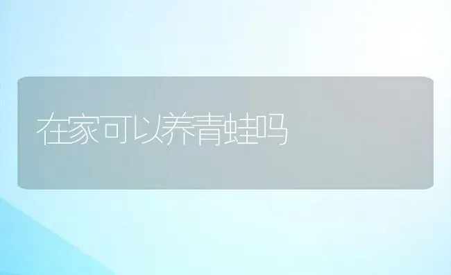 在家可以养青蛙吗 | 动物养殖百科