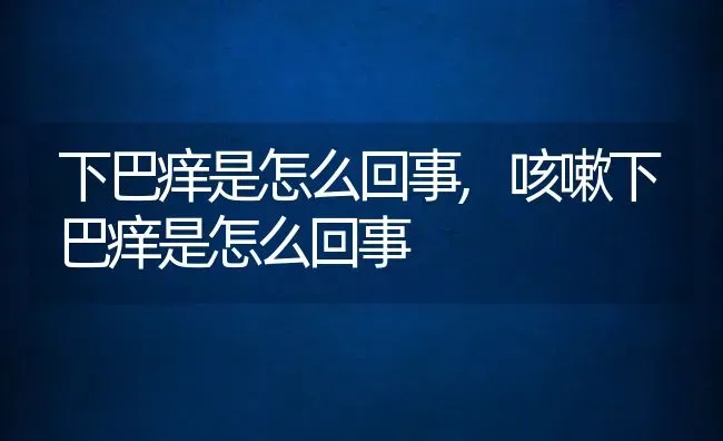 下巴痒是怎么回事,咳嗽下巴痒是怎么回事 | 宠物百科知识