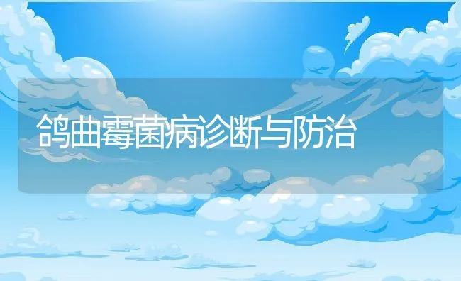 鸽曲霉菌病诊断与防治 | 动物养殖学堂