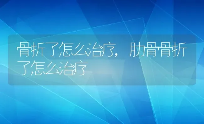 骨折了怎么治疗,肋骨骨折了怎么治疗 | 宠物百科知识