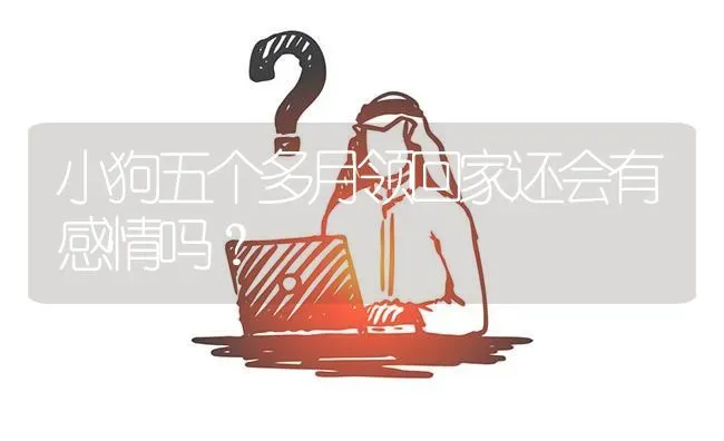 小狗五个多月领回家还会有感情吗？ | 动物养殖问答