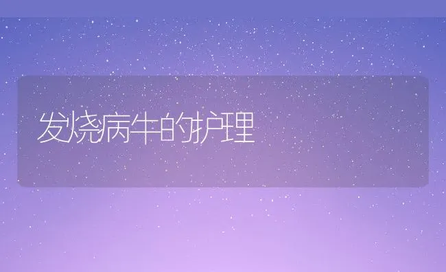 发烧病牛的护理 | 动物养殖学堂