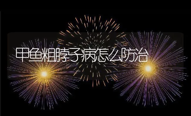 如何进行泥鳅养殖？掌握了这几个要点你就成功了一大半 | 动物养殖百科